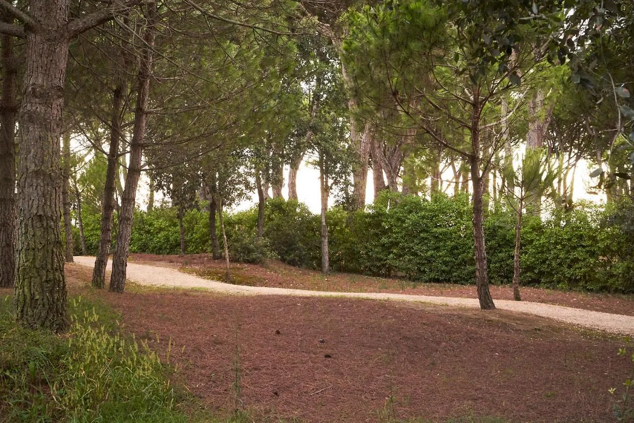 Aparthotel La Pineta Lido di Jesolo