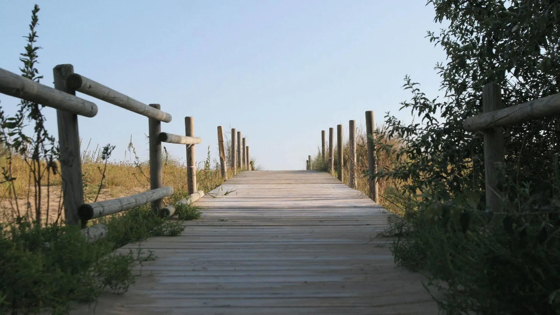 Aparthotel La Pineta Lido di Jesolo 4*,
